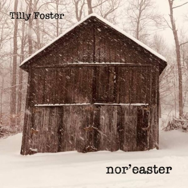 Cover art for Nor'easter
